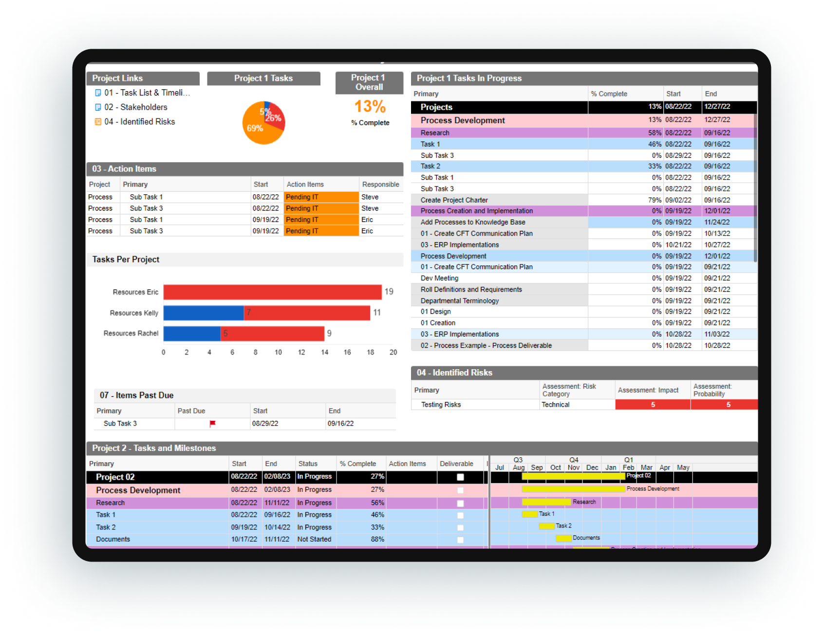 SmartSheet-Ipad